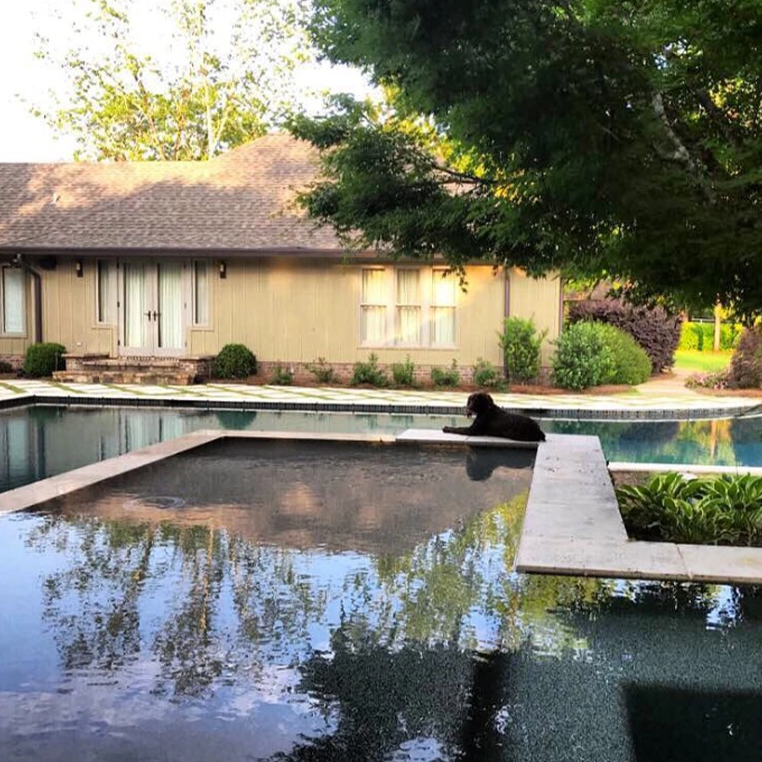 Custom Pool Franklin TN