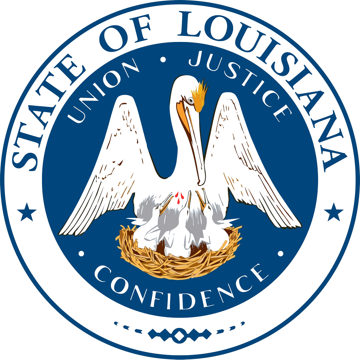 Louisiana Pool Builder